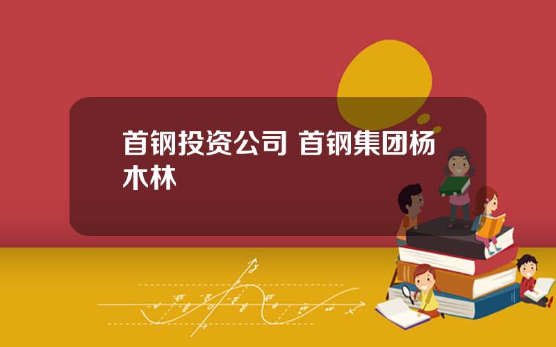 首钢投资公司 首钢集团杨木林